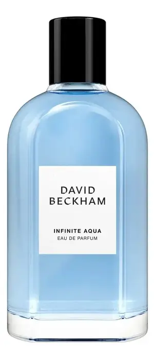 Perfume Masculino David Beckham Infinite Aqua Eau de Parfum 100ml