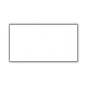 Revestimento 30200 Retificado Brilhante Branco 30x61cm 2,04m2